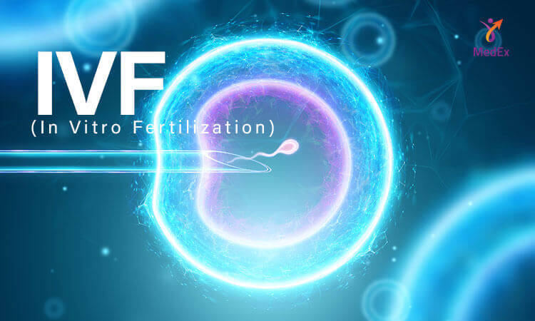 IVF (In Vitro Fertilization)